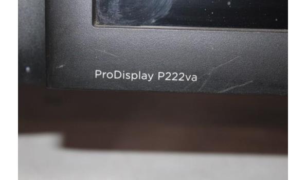 2 tft-schermen HP, ProDisplay P222VA, werking niet gekend